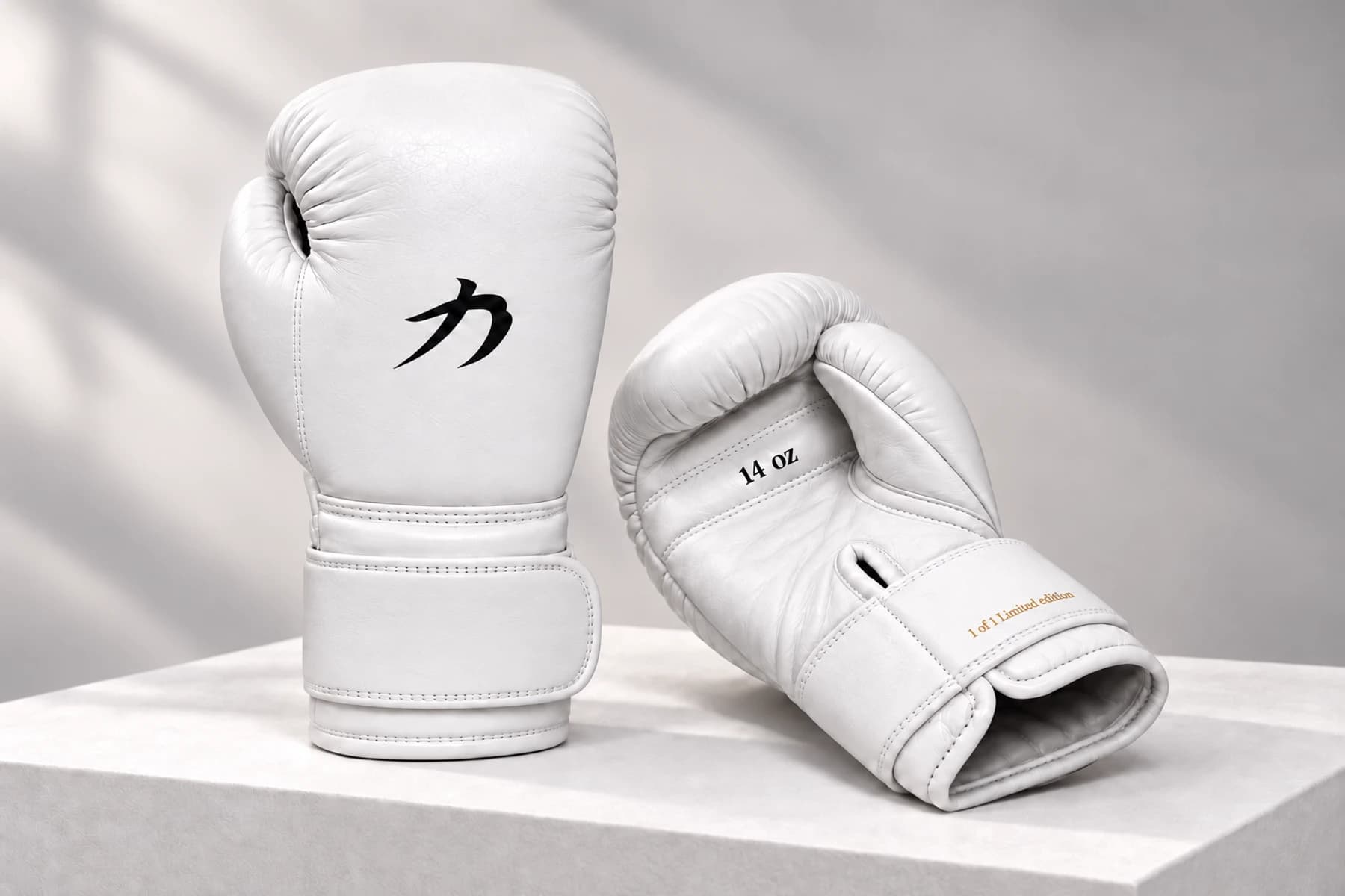SAEE white boxing glove design preview